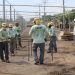 Fotogalería: El primer vivero del MOP producirá 1 millón de árboles cada año