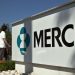 Merck pedirá luz verde para píldora anticovid que reduce a la mitad hospitalizaciones