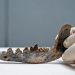 Perros y amos podrían haber habitado Centroamérica desde hace 12.000 años
