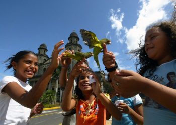 Día Internacional de la Niña: ¿Cuáles son las dificultades que ellas afrontan en todo el mundo?