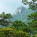 Podcast | Descubra la cordillera norte de El Salvador