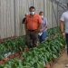 «Aumento de producción y mayor rentabilidad»: Ministro de Agricultura destaca resultados del programa «Rural Adelante»