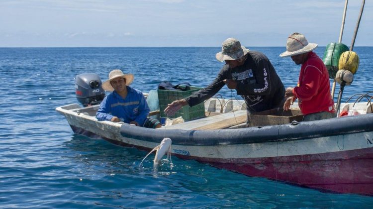 Pescadores en La Unión son beneficiados con subsidios. Foto: archivo.