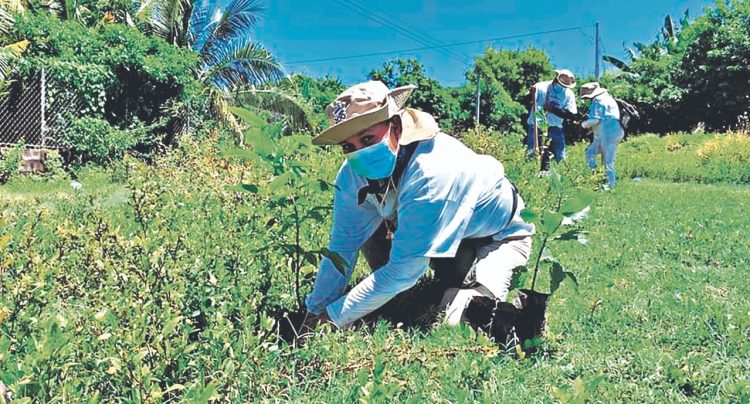 FOTO/ Diario El Salvador