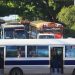 Diputada Dania González dice que no cederán ante las «mafias del transporte»