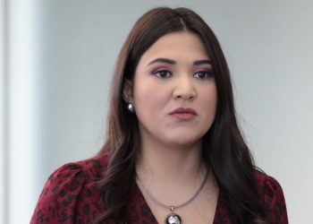 Hay más ONG vinculadas a ARENA que recibieron recursos públicos
