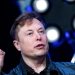 Elon Musk presenta su nueva cerveza, la Gigabier