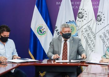 Bandesal otorga becas a 30 jóvenes de la ENA