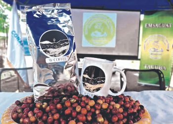 Caficultores lanzan su marca de café en Tacuba, Ahuachapán