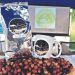 Caficultores lanzan su marca de café en Tacuba, Ahuachapán
