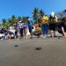 Liberan crías de tortuga golfina en la playa Las Tunas