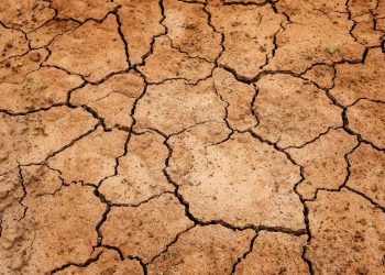 Campaña busca sensibilizar sobre la gestión de riesgos ante sequía en el corredor seco de Centroamérica