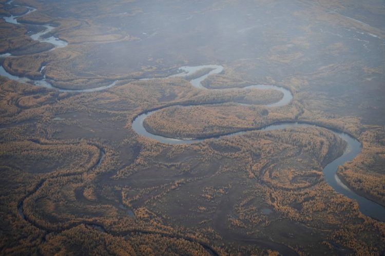 Foto / AFP-Ilustrativa