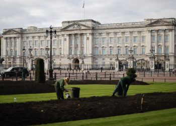 Un británico se declara culpable de intrusión en el recinto de Buckingham