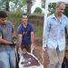 Descubren una nueva especie de dinosaurio «muy raro» en Brasil