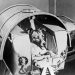 Laika: la perrita que se convirtió en el primer ser vivo en viajar al espacio