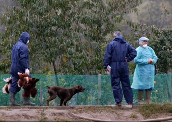 Primer brote de gripe aviar 2021 detectado en el norte de Francia