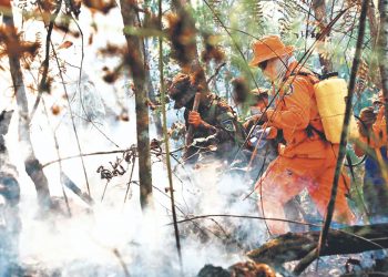 Gobierno lanza estrategia de prevención de incendios forestales