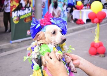 Realizan actividad de disfraces con caninos en San Antonio del Monte, Sonsonate