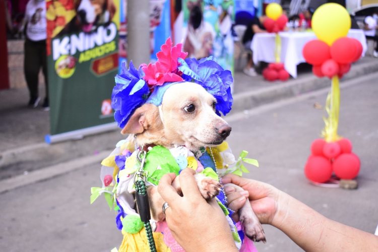 FOTO/ Diario El Salvador