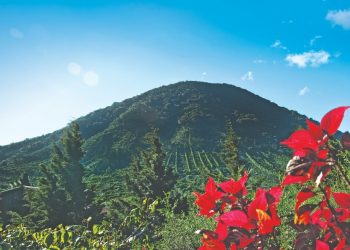 Café de El Salvador y turismo