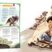 «Diario Escolar» publica una serie completa de cuentos salvadoreños