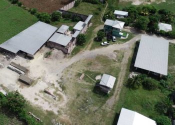Confiscan inmuebles a narcotraficante cuyo hijo hizo negocios con Sigfrido Reyes
