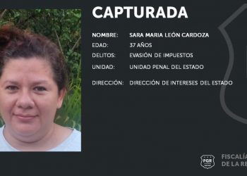 Mujer que importaba y vendía autos evadió más de $90,000 en impuestos