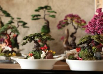 Nevari: la belleza del bonsái inmortalizada