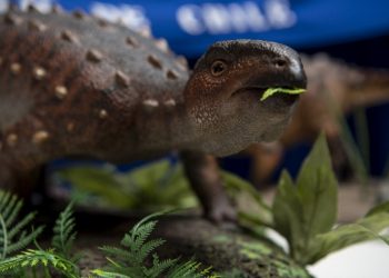El «Stegouros», el dinosaurio descubierto en Chile con una cola que desconcierta a científicos