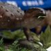 El «Stegouros», el dinosaurio descubierto en Chile con una cola que desconcierta a científicos