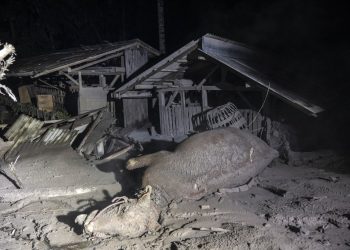 13 muertos por la erupción del volcán Semeru en Indonesia