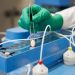 Autoridades sanitarias de EE. UU. autorizan la píldora contra el covid-19 de Pfizer