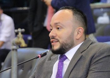 Diputado David Reyes reconoce que ARENA pierde «notoriedad»