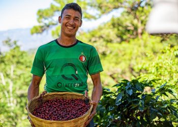 El Salvador exportó $572.5 millones de café en los últimos cinco años