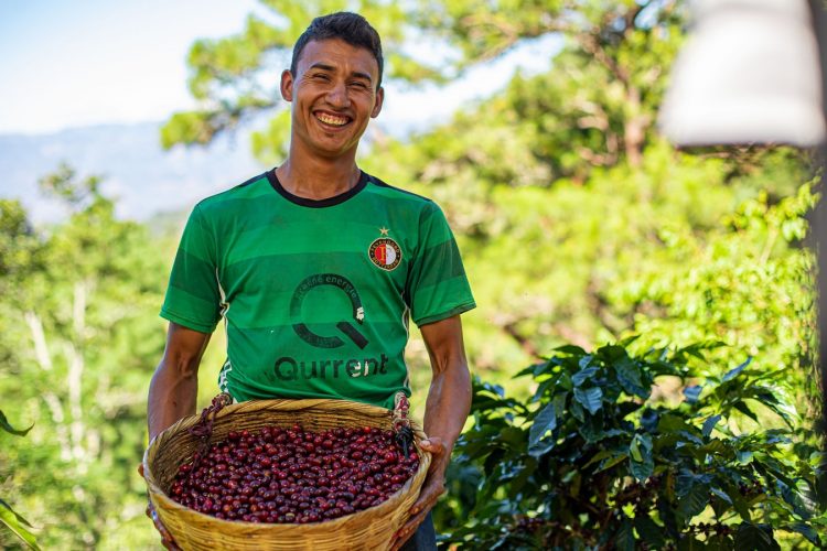 El sector cafetalero genera alrededor de 35,000 empleos en el país. Foto / Diario El Salvador.