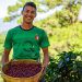El Salvador exportó $572.5 millones de café en los últimos cinco años