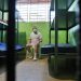 Exministro Munguía Payés es trasladado al centro penal de Mariona
