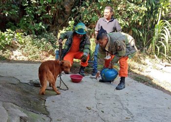 Bomberos rescatan a perrito que cayó en una quebrada de 10 metros de profundidad en Mejicanos