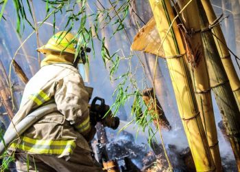 FOTOS: Bomberos atienden incendio en Santo Tomás