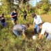 Principales peticiones a la DOM son escuelas, calles y agua potable