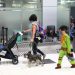 Más de 350,000 pasajeros se moverán en Navidad