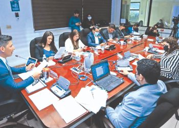 Diáspora pide el voto electrónico para los comicios de 2024