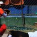 Campeonato departamental de softbol será inaugurado en El Cafetalón