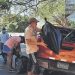 Limpian playas de La Unión para recibir a los turistas
