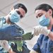 Clínica del Ministerio de Medio Ambiente y Recursos Naturales atiende a pericos decomisados en San Miguel