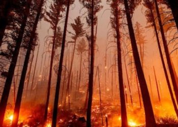 Centenas de hogares potencialmente arrasados por incendio forestal en Estados Unidos