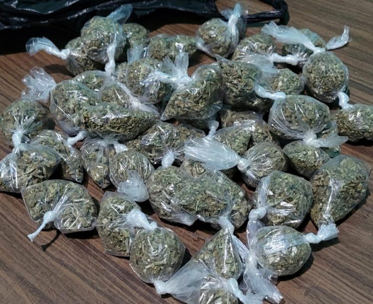 Varias porciones de marihuana fueron incautadas a un pandillero en Nueva Concepción. Foto: Policía Nacional Civil.