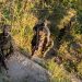 1,000 soldados son enviados a Ilopango y Soyapango para dar seguridad en varias colonias