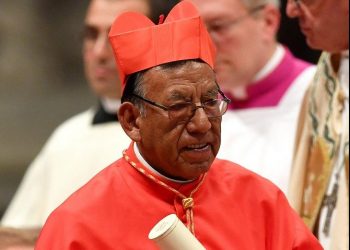 Vicepresidente de Bolivia, cardenal y seis ministros contagiados con la COVID-19